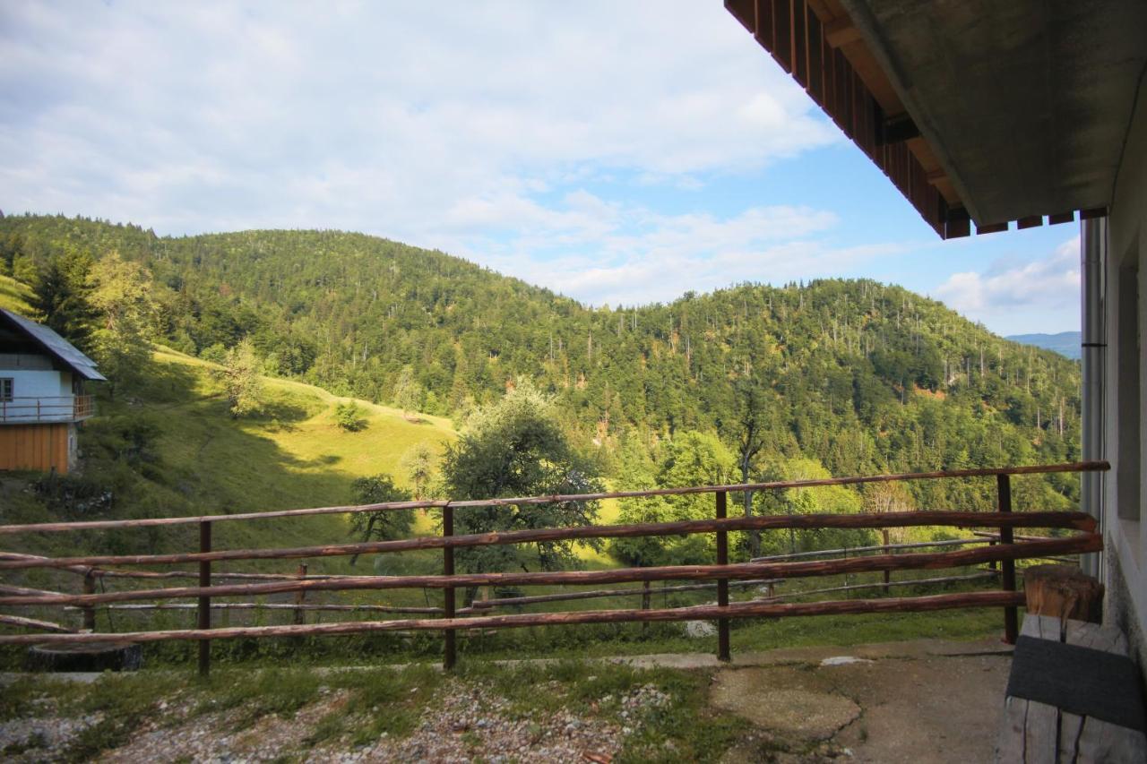 Apartma Gorski Razgled Средня-Вас-в-Бохиню Экстерьер фото